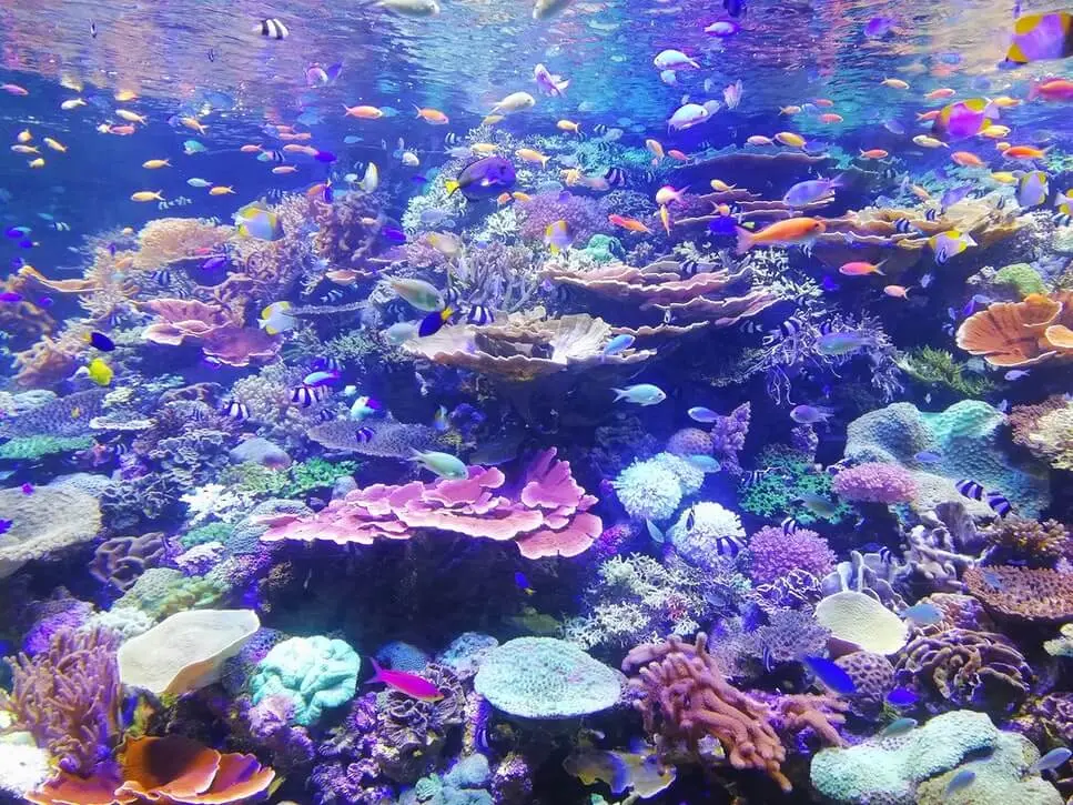 Biology and living things cover photo